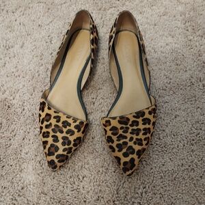 J Crew Leopard print pointed toe Flats